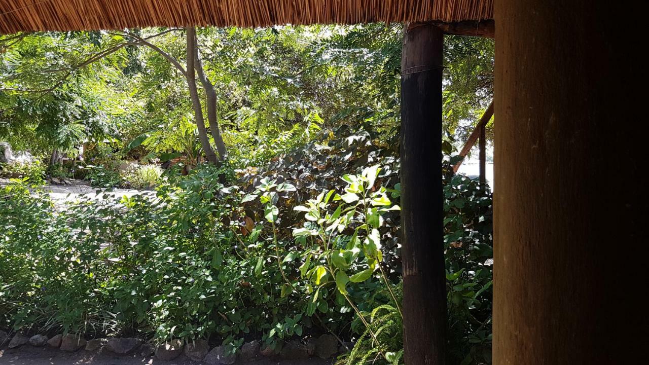 Mufasa Eco Lodge Monkey Bay Εξωτερικό φωτογραφία